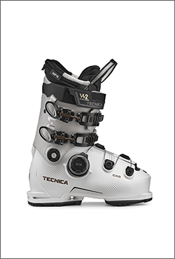 Tecnica